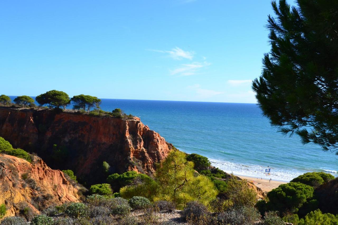 לגואה T0 Junto A Praia De Vale Centeanes / Carvoeiro מראה חיצוני תמונה